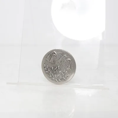 Brosch (Silverfärgad) Okänd metall