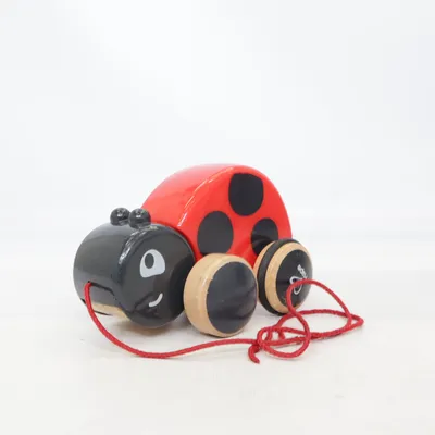 Trekfiguur (Ladybug Pull Along) van Hape