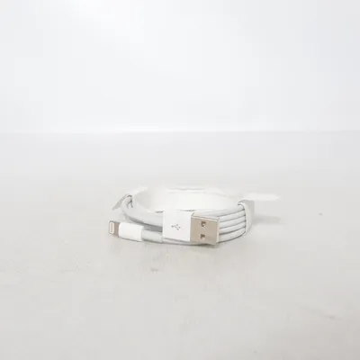 Câble USB de Apple