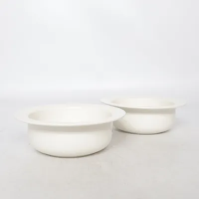 Bowl (Arctica) from Arabia