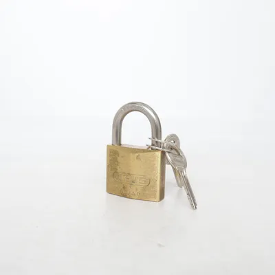 Padlock (65/40) from Abus