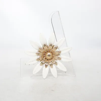 Broche (Blanc, Or) Métal inconnu