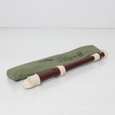 Blåsinstrument (Brun, Beige) från Yamaha