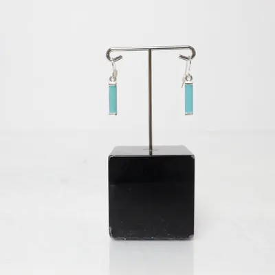 Oorbellen (Turquoise, Zilver) Onbekend materiaal