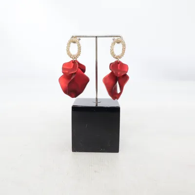 Boucles d'oreilles (Rouge) Métal inconnu