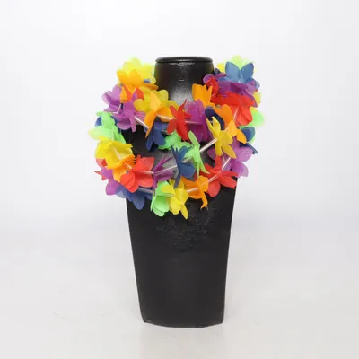 Kostuum accessoires (Meerkleurig) van Boland