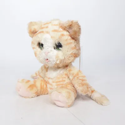 Peluche (Orange) de Hasbro