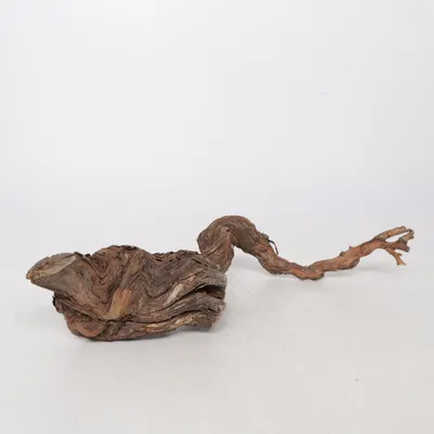 Terrarietillbehör (Brun)