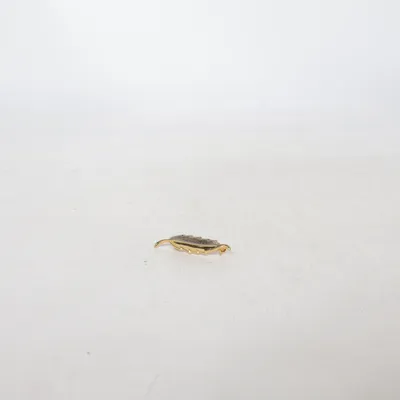 Brooch (Gold) Unknown metal