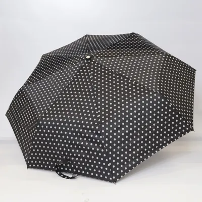 Paraply (Svart, Vit)