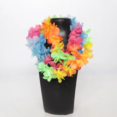 Kostuum accessoires (Meerkleurig)