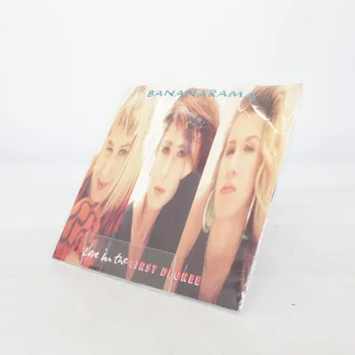 Vinylplade