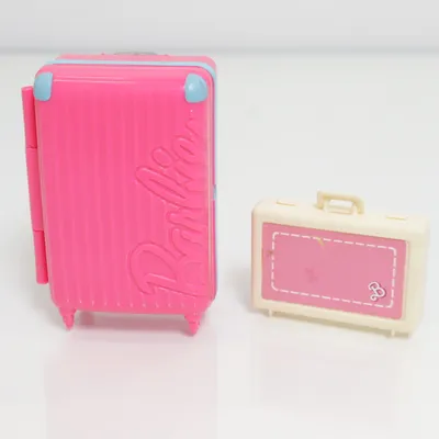 Poppenaccessoire (Roze, Meerkleurig) van Barbie
