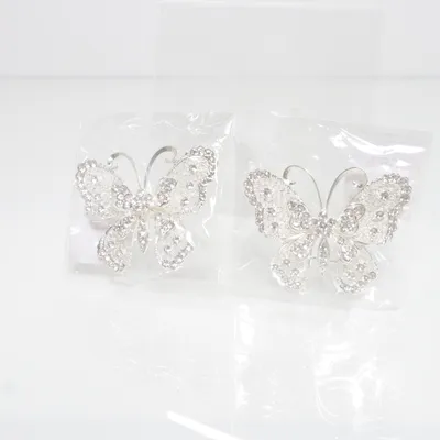 Broche (Zilver) Onbekend materiaal