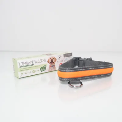 Dog collar (Gray, Orange) from Zoofari