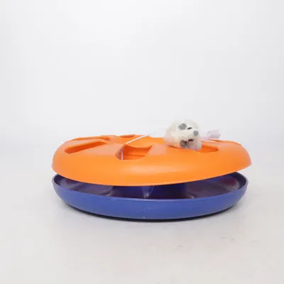 Jouet pour chat (Orange, Bleu)