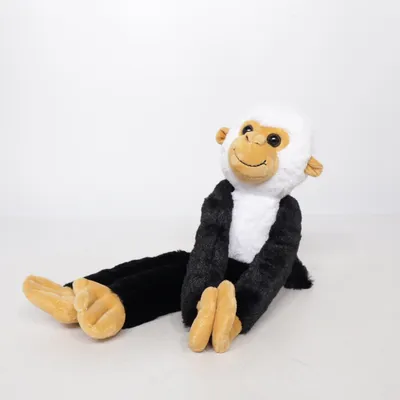 Peluche (Noir, Blanc, Marron) de Paul Frank