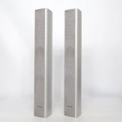 Speaker (Sb-Fs900) van Panasonic