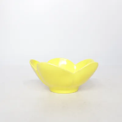 Bol (Jaune) de Rice