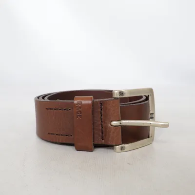 Riem (Bruin) van Rage