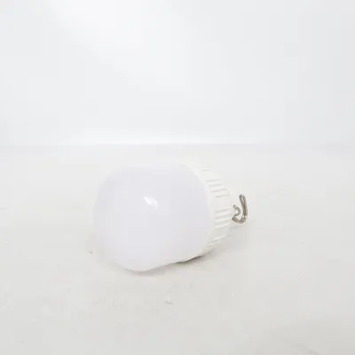 Lampe de poche (Blanc)
