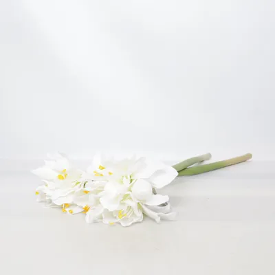 Artificial plant (White, Green) from Form Living