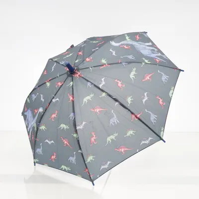 Umbrella (Gray, Multicolored) from C&A Accessoires