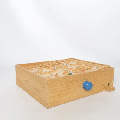 Hersenkraker puzzel (Bruin) van Brio