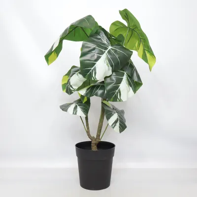 Kunstplant (Fejka) van IKEA