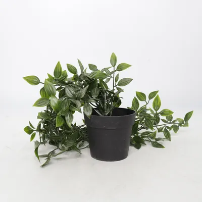 Artificial plant (Green) from IKEA