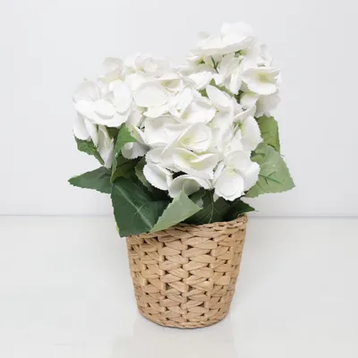 Konstgjord växt (FRIDFULL) från IKEA