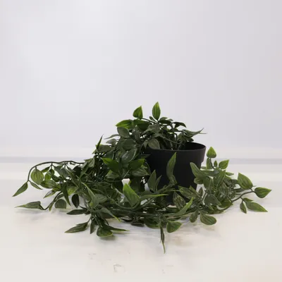 Plante artificielle (FEJKA) de IKEA