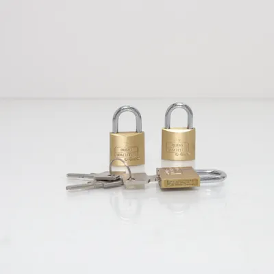 Hangslot (Goud, Zilver) van Burg Wächter