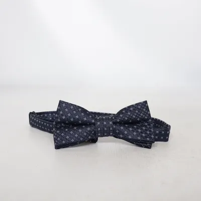 Noeud papillon (Bleu)