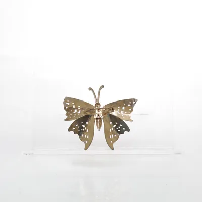 Broche (Goud) Onbekend materiaal
