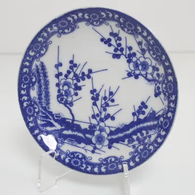 Bordje (Blauw, Wit)