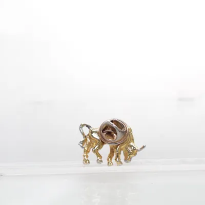Broche (Goud, Zilver) Onbekend materiaal