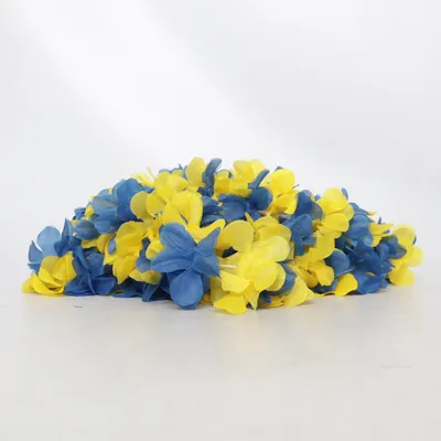 Accessoires de déguisement (Bleu, Jaune) de Duga