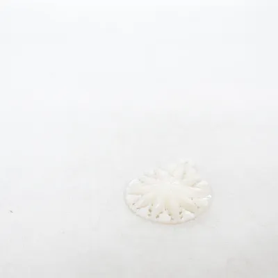 Broche (Wit) Onbekend materiaal