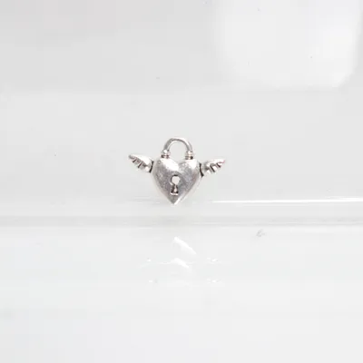Hanger (Zilver) Onbekend materiaal