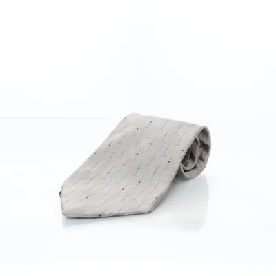 Cravate (Gris) de Carlo Palazzi Soie