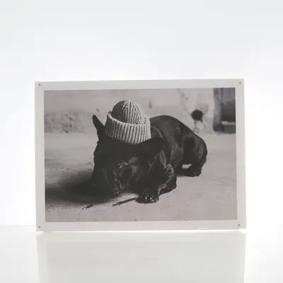 Poster (Black, Gray)