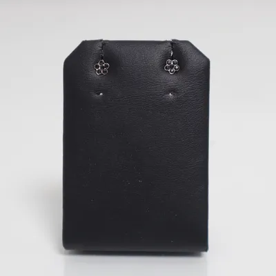 Oorbellen (Zilver, Zwart) Roestvrij staal