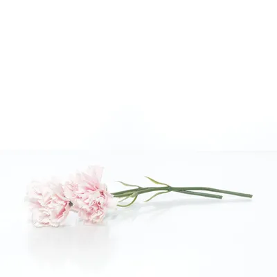 Artificial plant (Pink, Green)