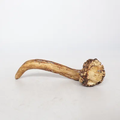 Trophy (Brown)