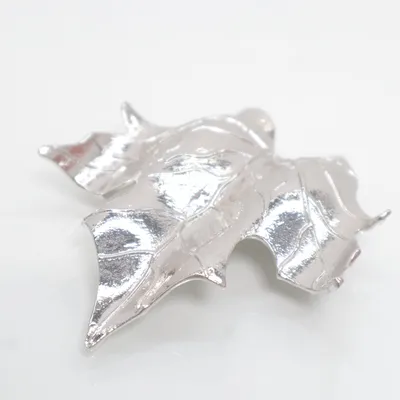 Broche (Zilver) Onbekend materiaal