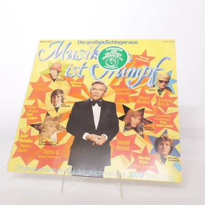 Vinyl record