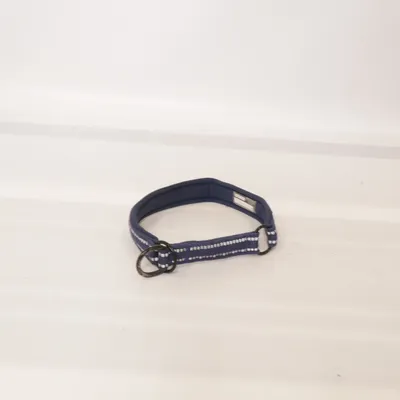 Collier pour chien (Bleu) de Feel Active