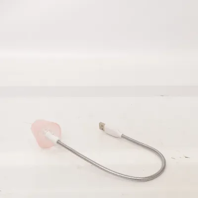 Reading light (Pink, Silver)