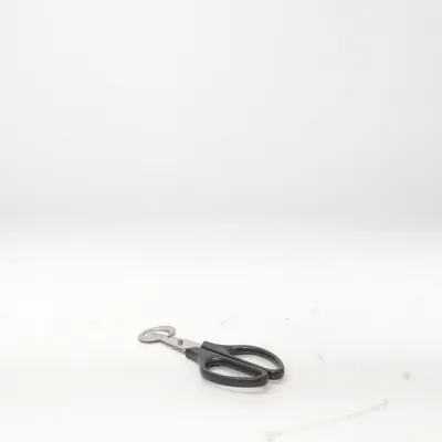 Ciseaux (Noir, Argent)